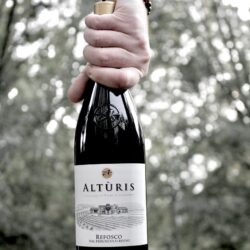 Azienda Agricola Altùris – Friuli IGP Refosco dal Peduncolo Rosso 2024