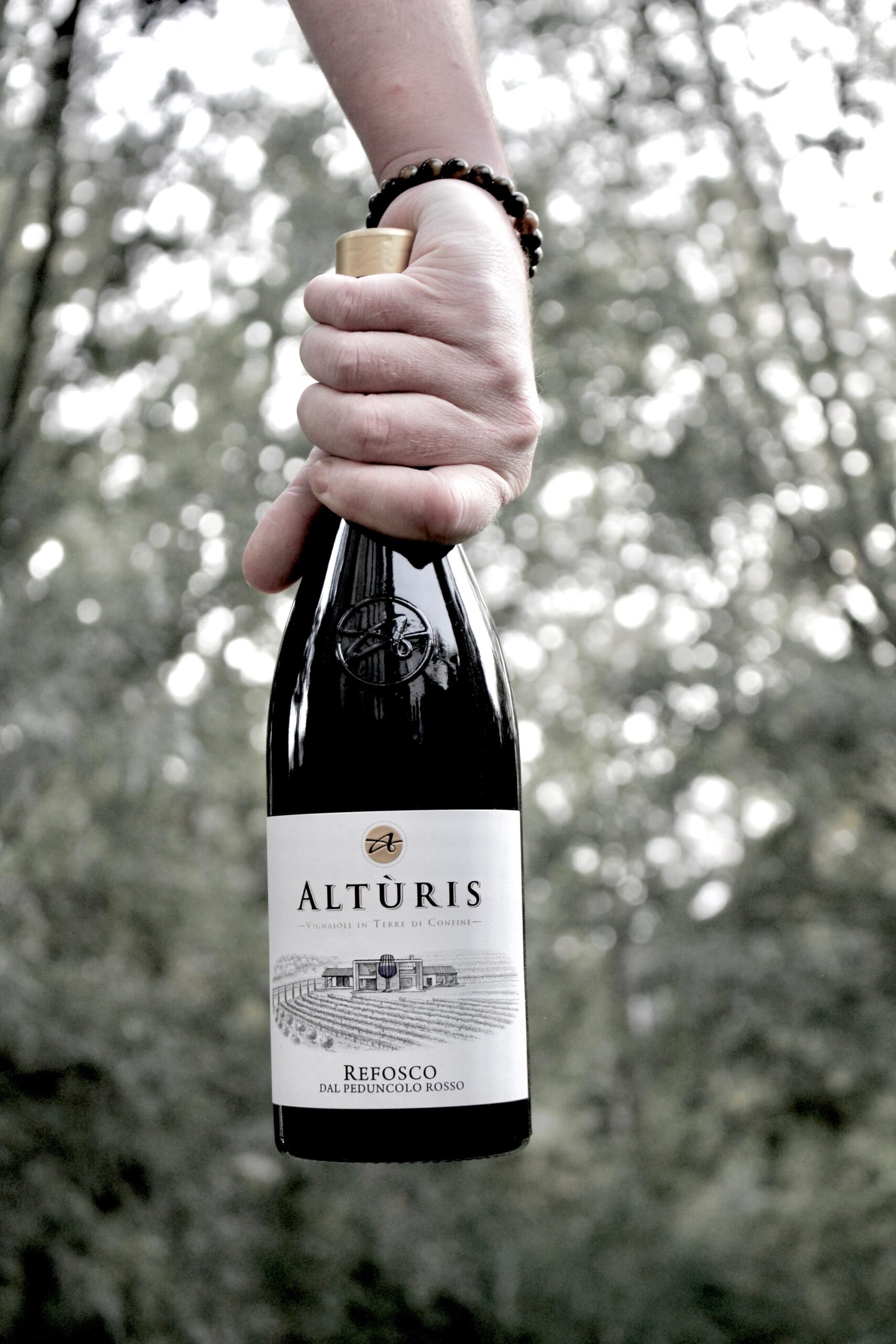 Azienda Agricola Altùris – Friuli IGP Refosco dal Peduncolo Rosso 2024 - Afbeelding 2